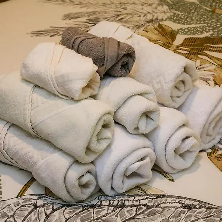 Torrinha & Sa Daire Funchal